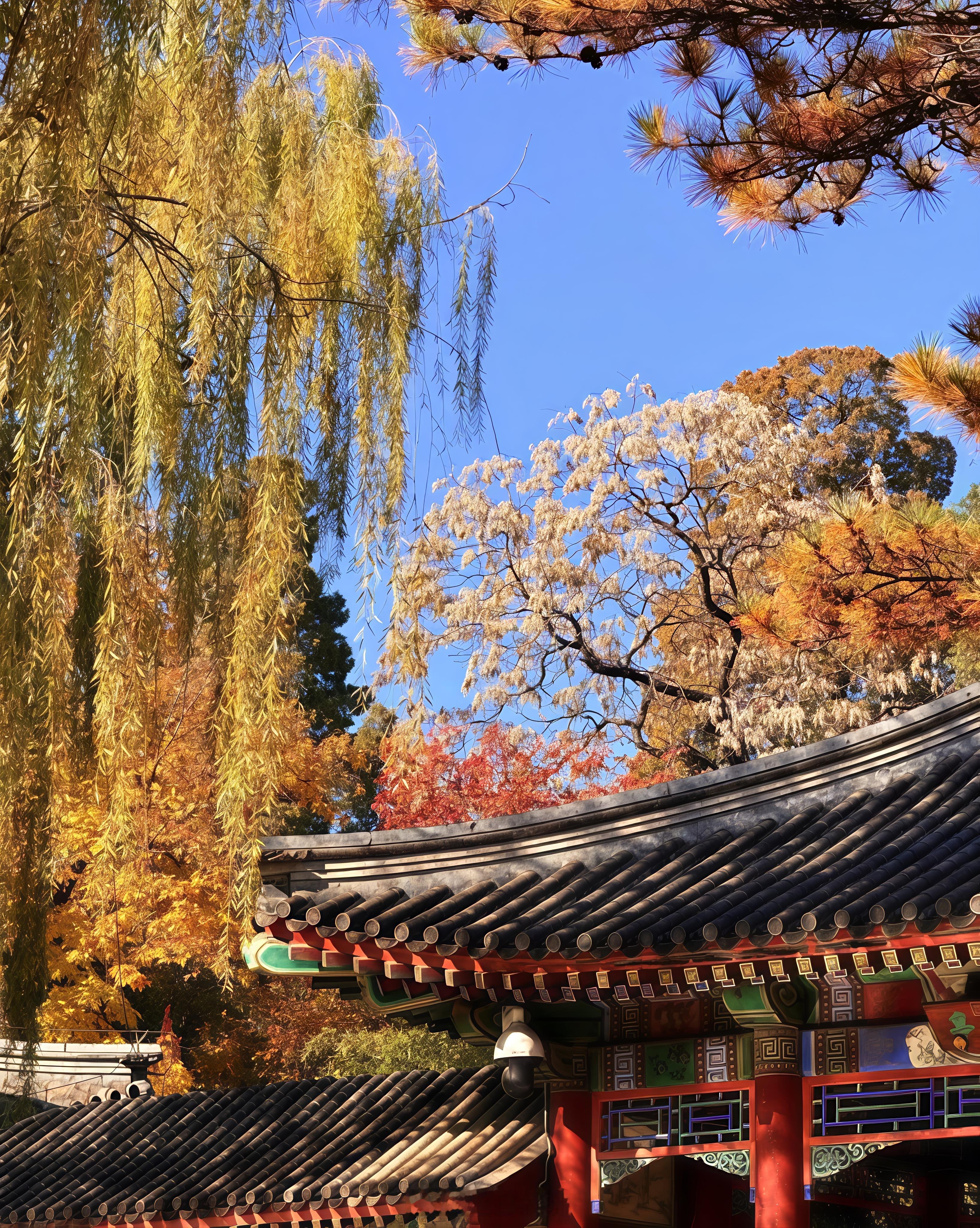 早安各位，今天是11月4日，祝大家八方来财，万事顺遂[给力][给力]，盆满钵满。