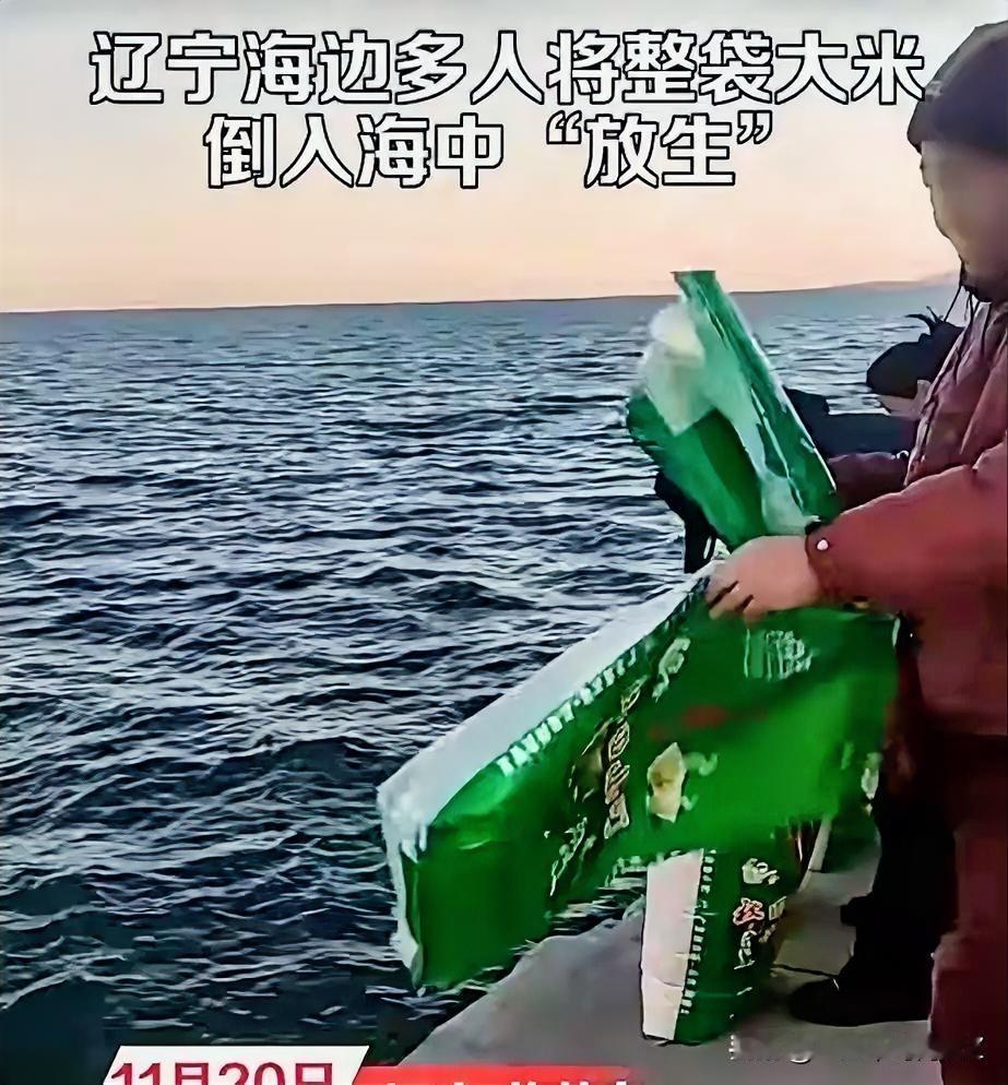 放生大米这种怪事之所以有今天的热度，
最应该感谢的，
不是短视频的传播，也不是商