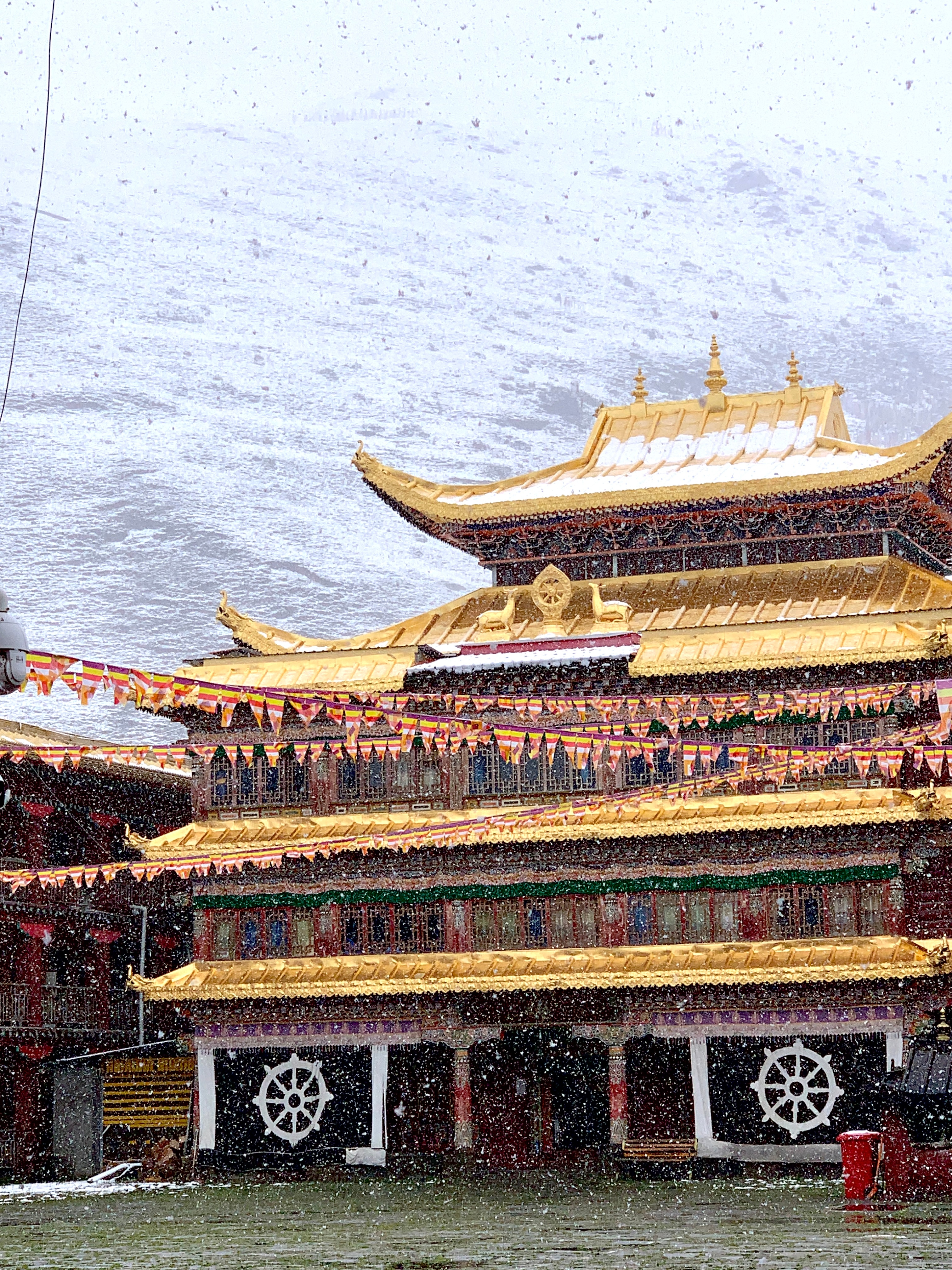 川西遇见的初雪❄️  ​​​