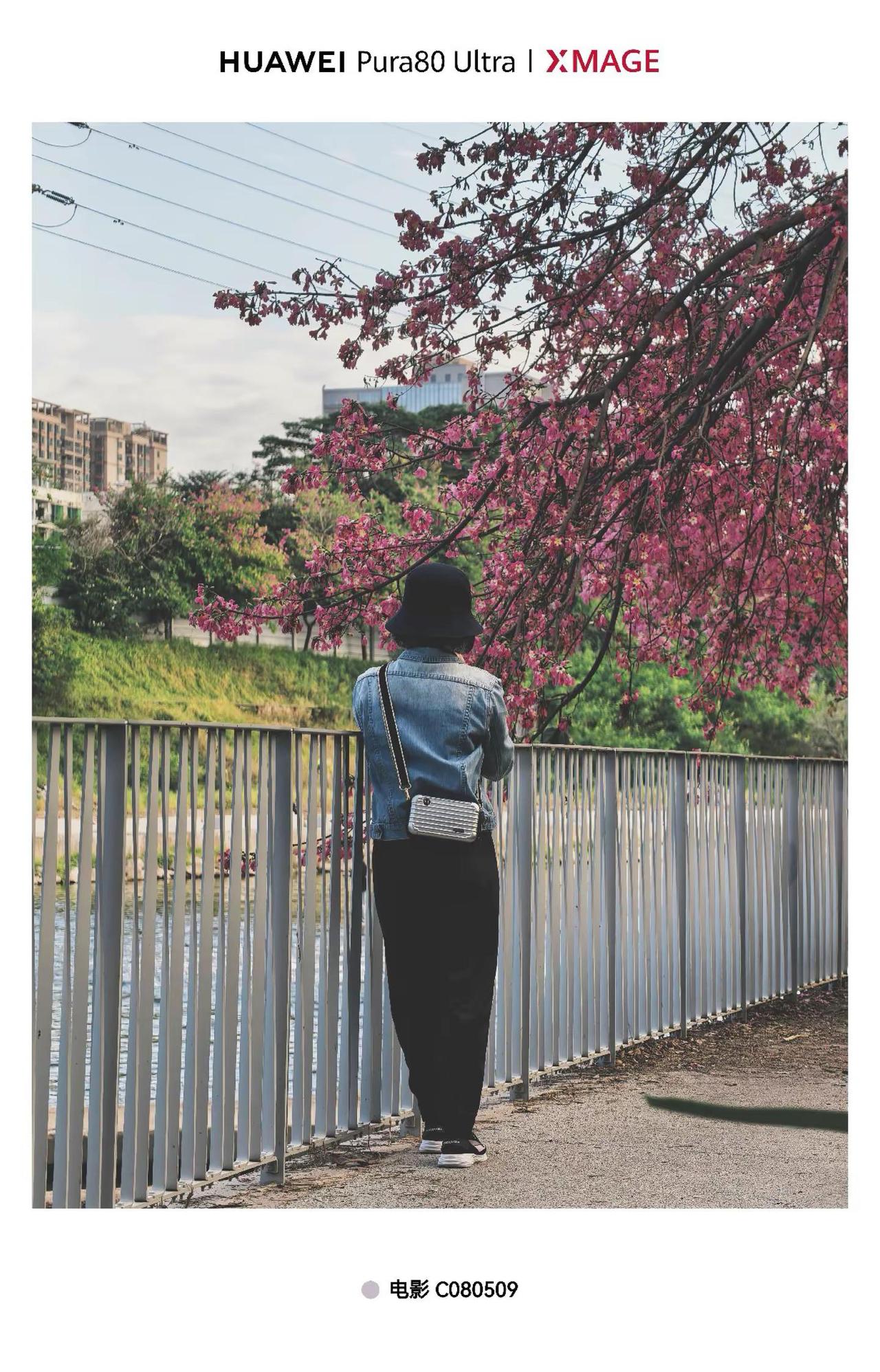 Pura 80ultra一镜双目真出片。今天在观澜河湿地当了一回