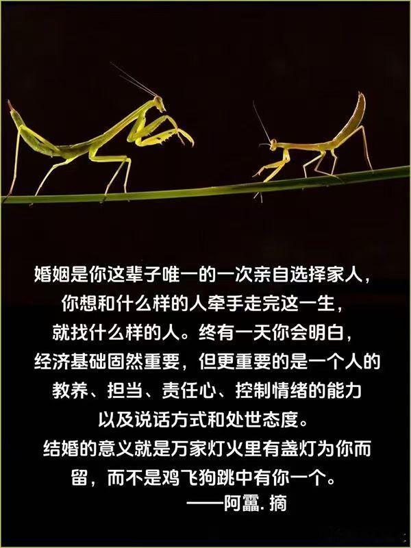 结婚的意义就是万家灯火里有一盏灯在为你留而不是鸡飞狗跳中有你一个… 