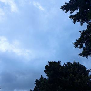 雨中凝思的意境