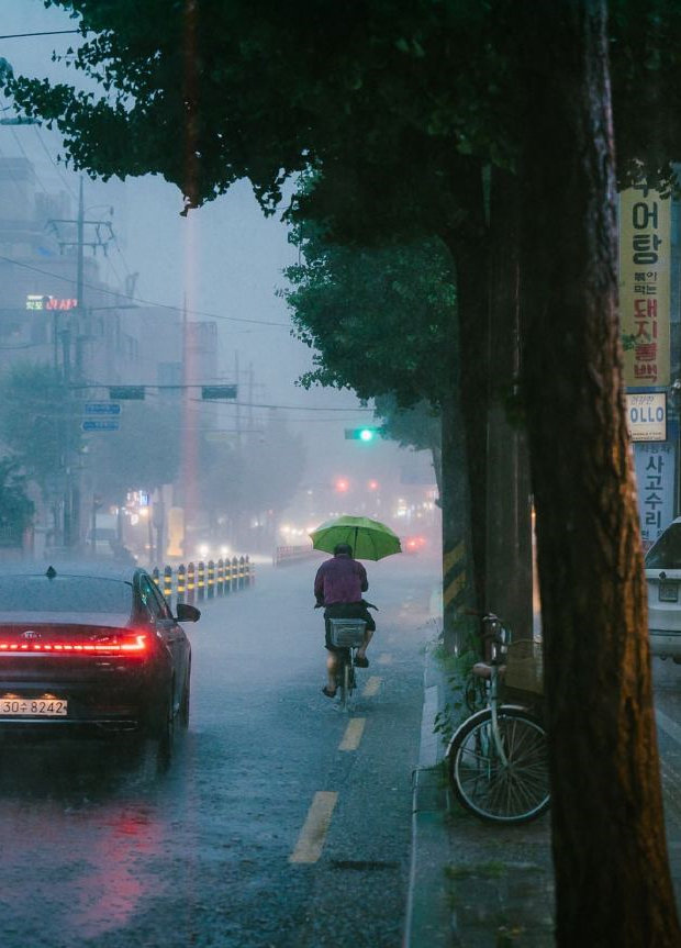 喜欢这句：要在世俗的雨里，决定成为自己。——廖伟棠《我偏爱读诗的荒谬》
