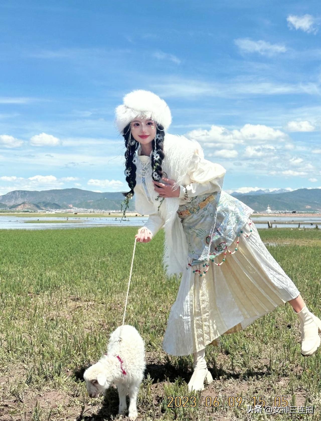 草原上的梦幻之旅，与羊儿共舞