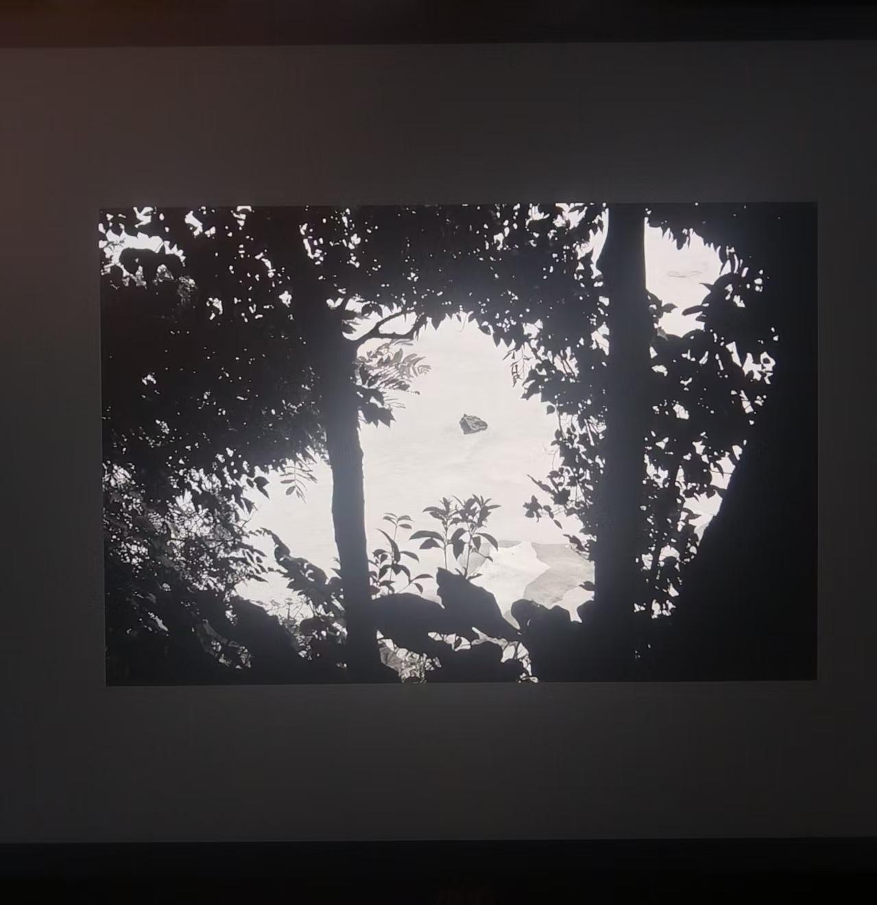 目击道存/心照神交，夏天的诗。

木心语：神在无人处。

这话，大有玄机，

一