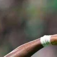 在2025赛季足协杯决赛，北京国安对阵河南队。法比奥上半场就完成双响炮，卢卡斯-