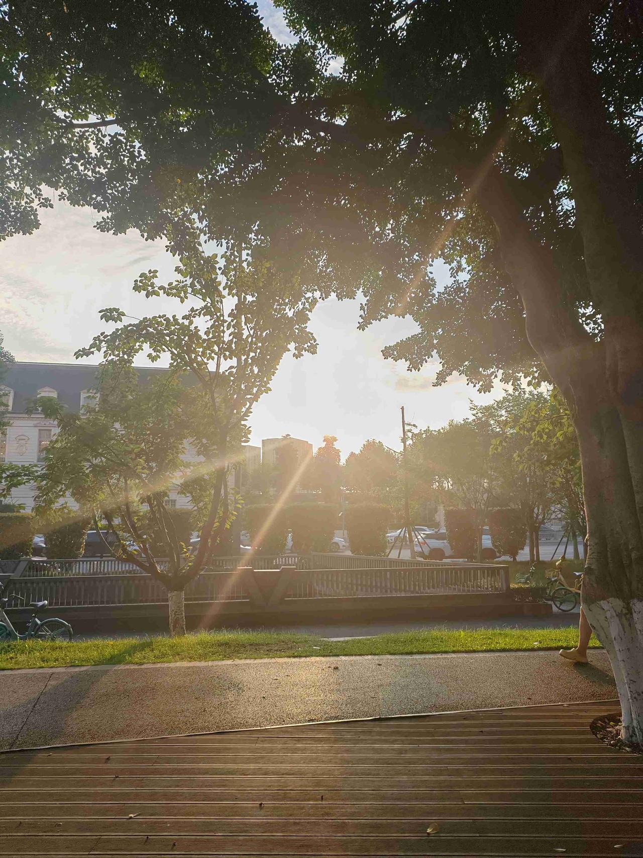 我的今日状态：😁轻松愉快
我这里的天气：☀️晴天又到周末啦，山西这大晴天简直太