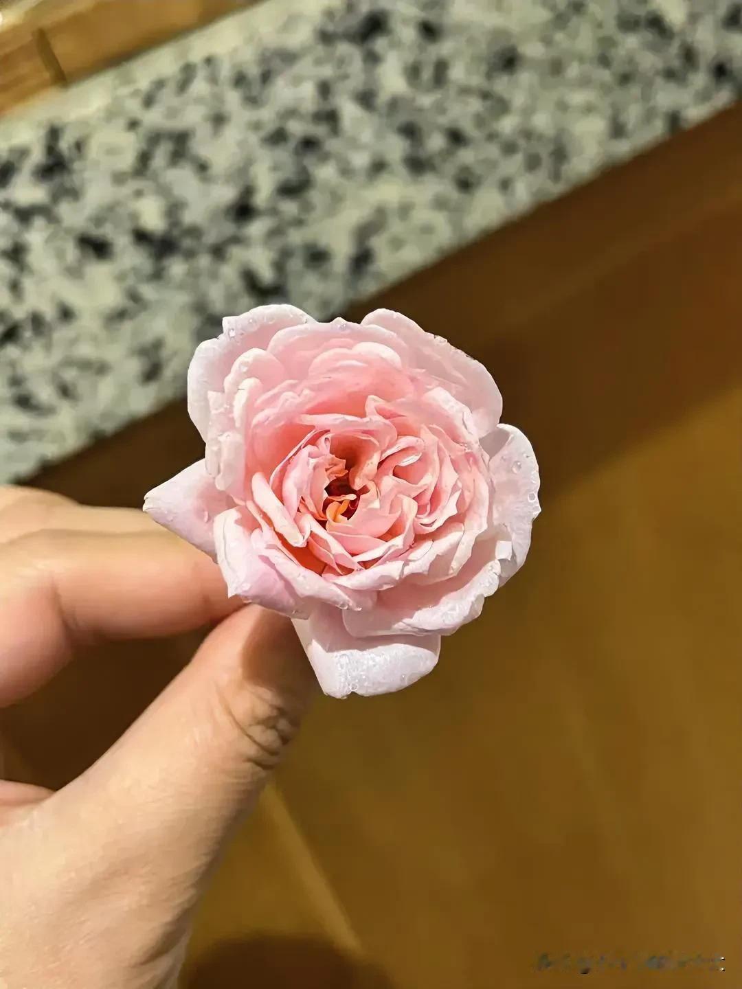 
🍁 ♡ ʜᴀᴘᴘʏ̆̈ 🕊 ◡̈*
十一月，秋安客心，暖照君意九̥ 月̥ 