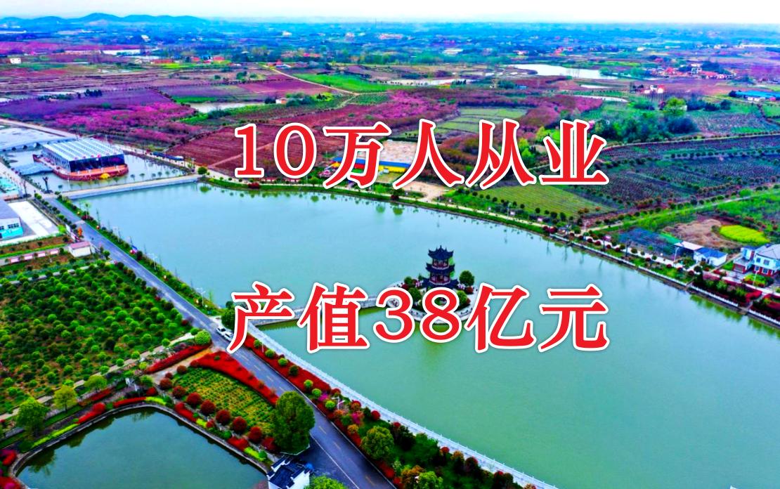 一个县，从业人员有10余万人，其中就有2万花木经纪人，2025年产值38亿元，一