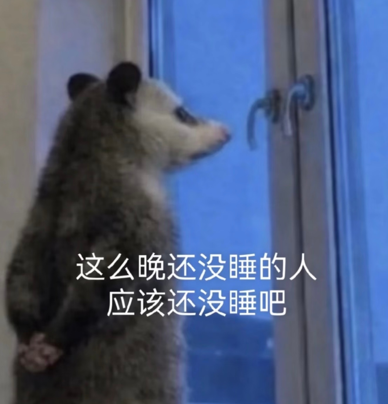 现在就睡啦晚安大家（因为今天和我妈（亲妈，有血缘的）睡一屋）不得不早睡了续火🔥