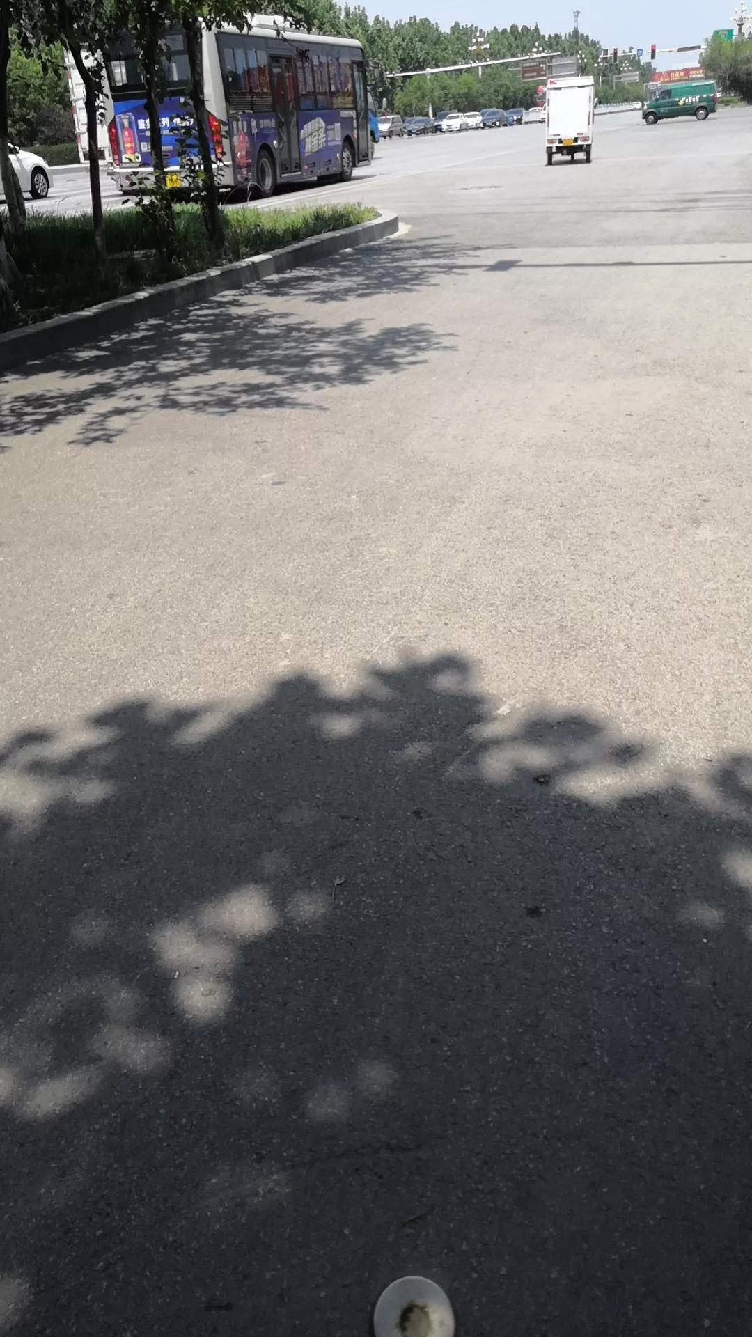 中午下班，走在经常走的林荫路，路边有绿色铁板围拢的建筑工地，突然，从一个工地的入