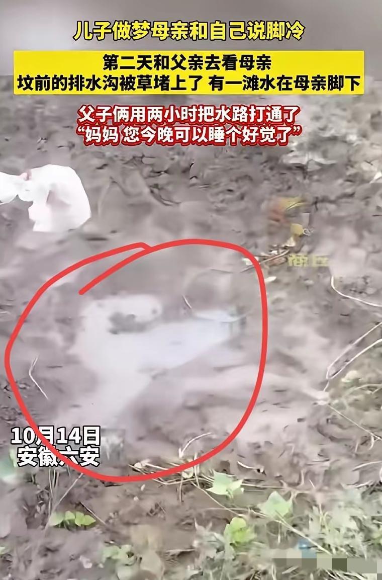 家人们谁懂啊！安徽六安一儿子做梦，妈妈跟他说脚冷。第二天和爸爸去坟前一看，好家伙