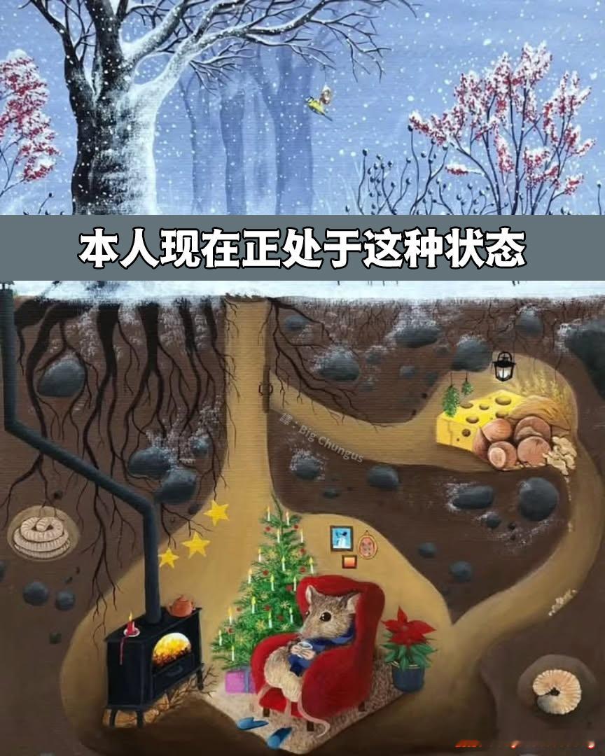 好想冬眠啊meme