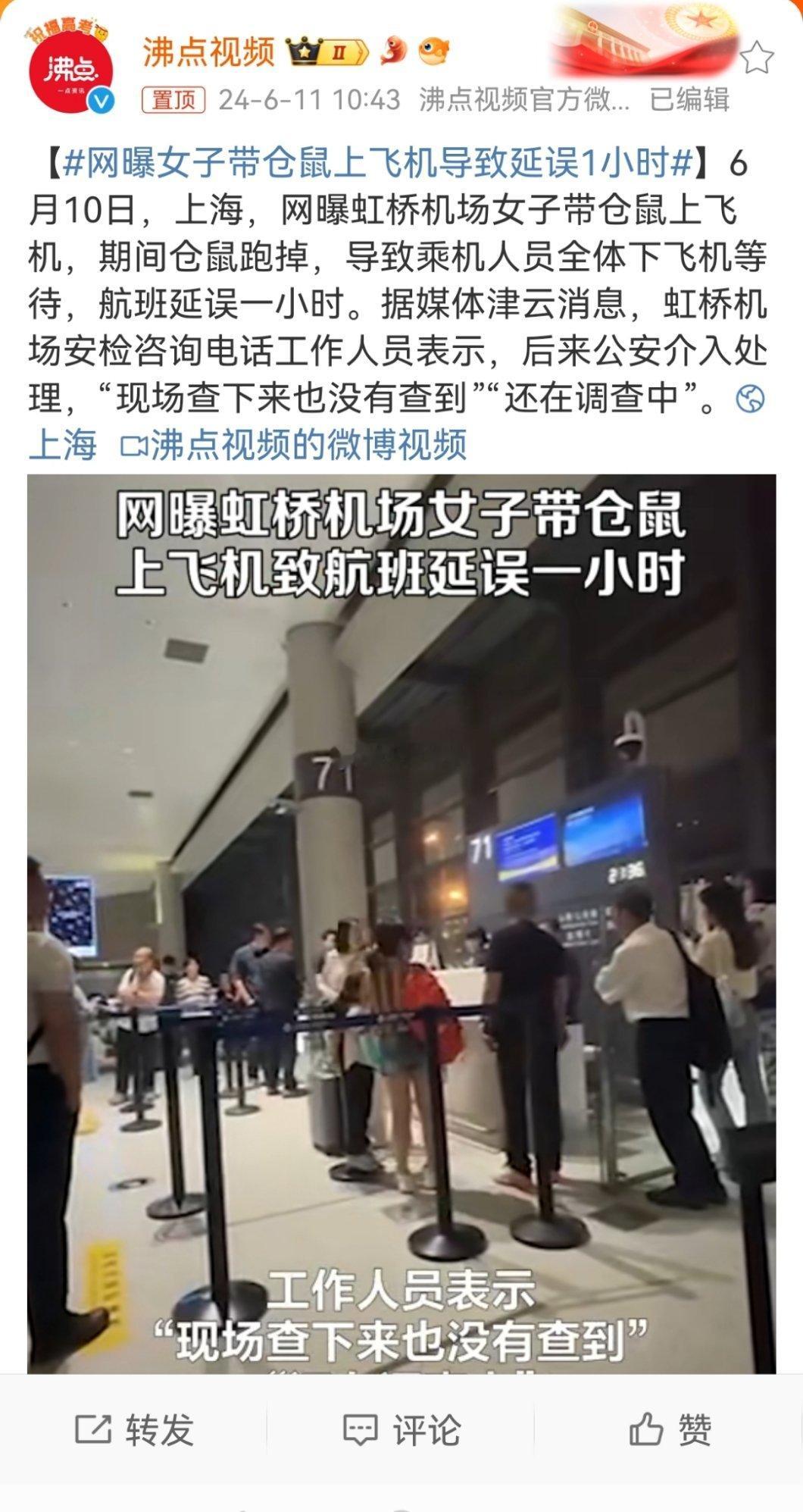 #网曝女子带仓鼠上飞机导致延误1小时#到现在也没抓到，可看来人不行，只能上猫了…
