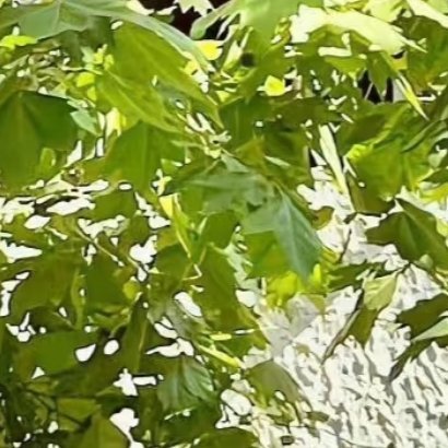 000000人生从来没有真正的绝境。无论遭受多少艰辛，无论经历多少苦难，只要一个