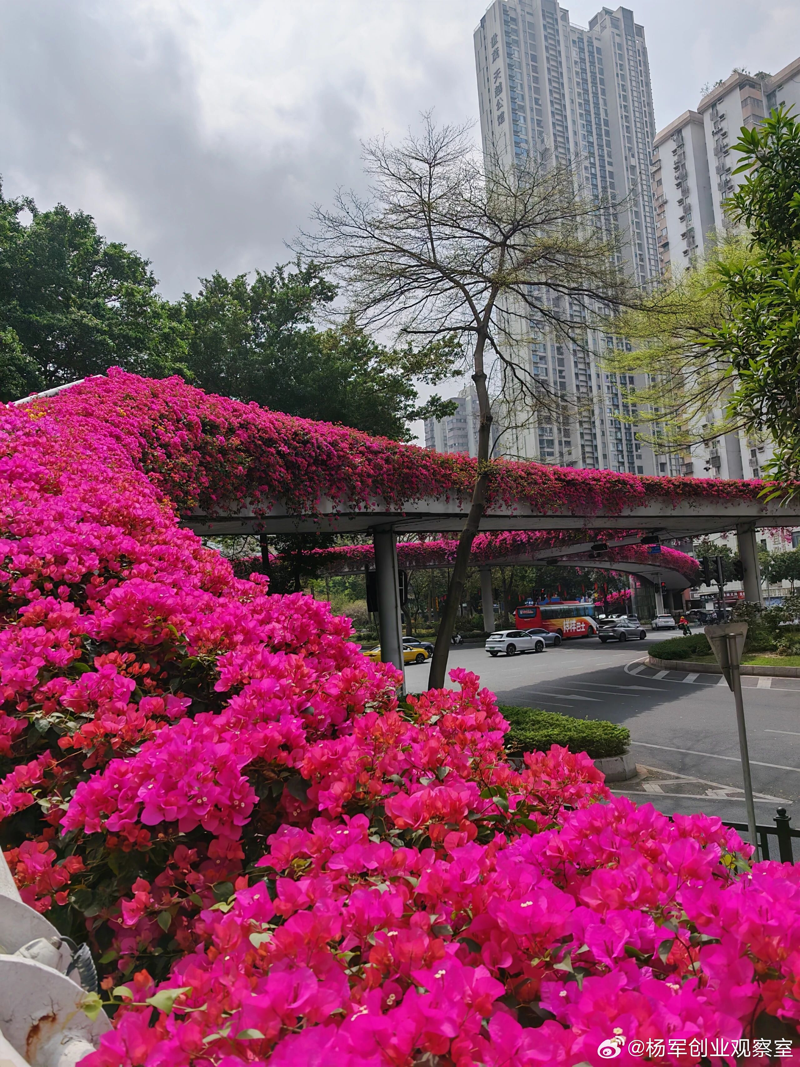 【为什么投资协议一定要设回购权？】结合实战经验，分享核心六点原因，助你理解背后的