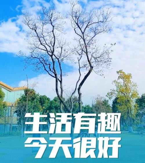什么是生活之美？
 
换一种眼光看待日子，才会读懂独属于普通人的生活之美。
 
