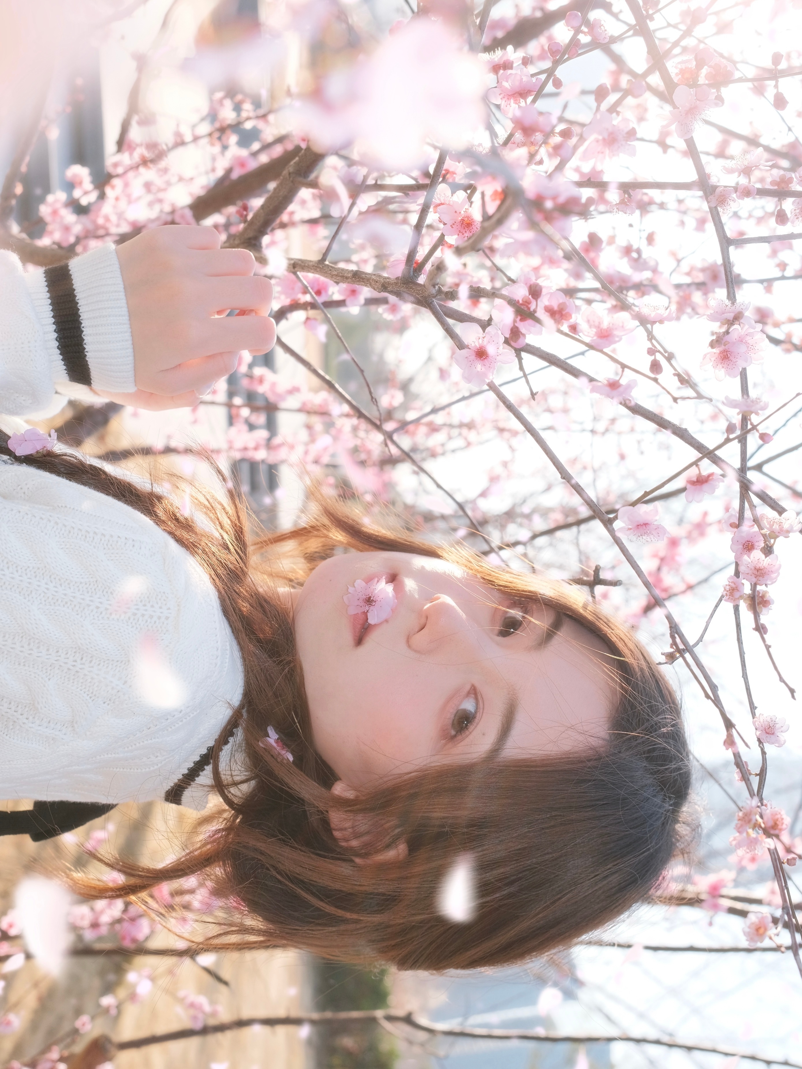˚₊ 𝝑𝝔 𝘚𝘱𝘳𝘪𝘯𝘨 𝘓𝘰𝘷𝘦𝘚𝘵𝘰𝘳𝘺 