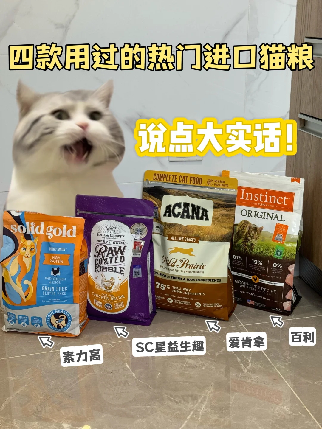 四款用过的进口猫粮，说点大实话！