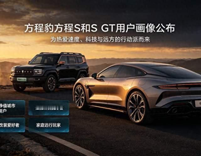 方程豹方程S和S GT用户画像公布