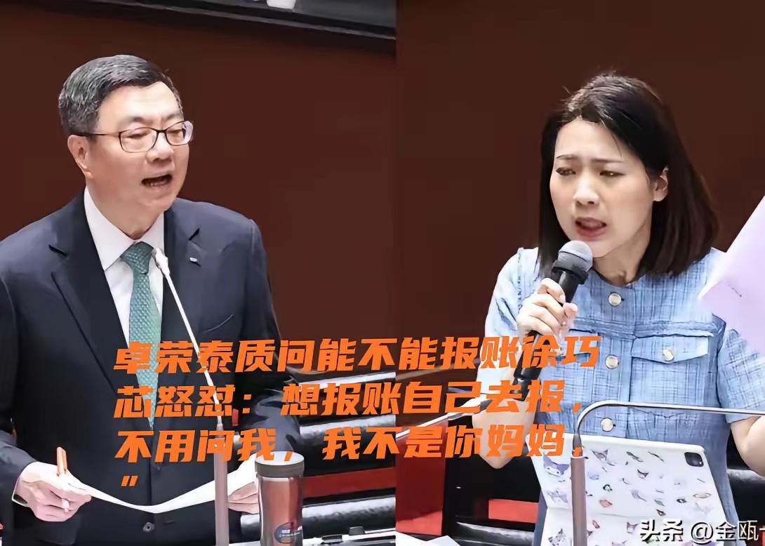 徐巧芯是国民党内的一员猛将！
前期，赖清德利用台湾民众的血汗钱大量购买美国武器时