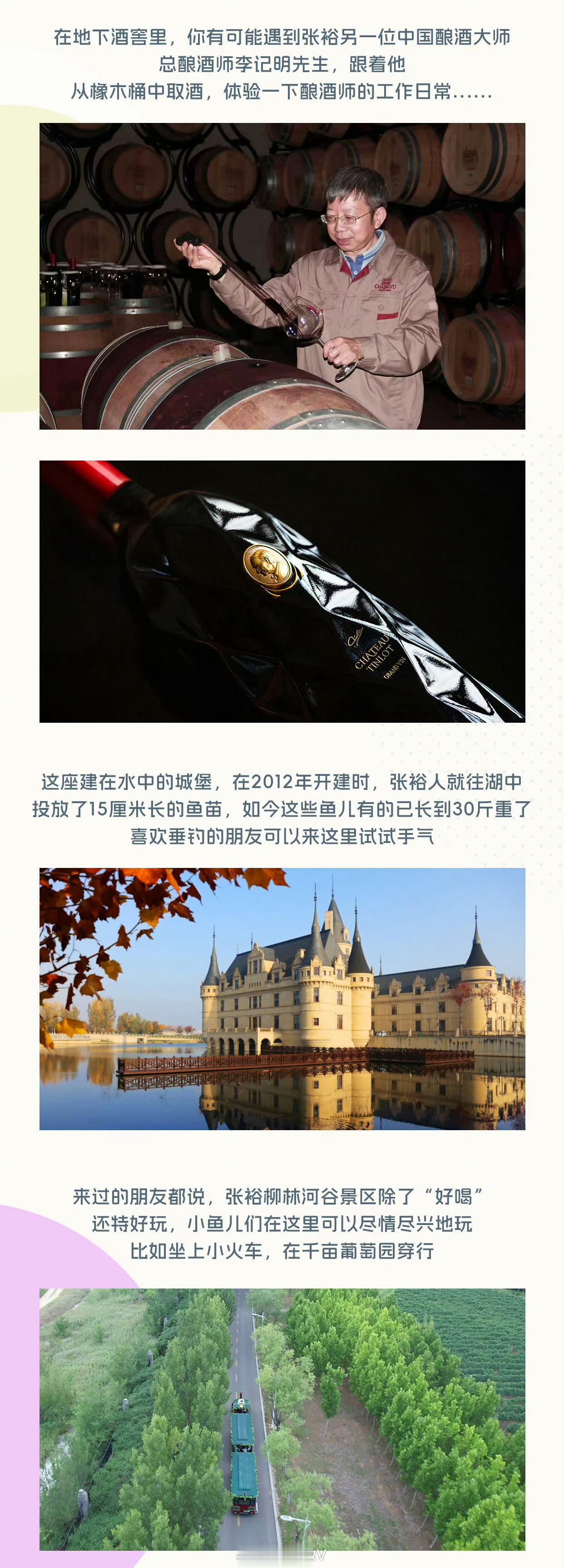 来山东赴一场夏日葡萄酒松弛之旅终于等到你！7月18日，将现身山东烟台柳林河谷，与