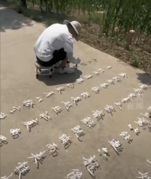 终于火了！！河南周口男子大热天田间写“悬浮字”，一眼望去太震撼“这字咋还能飘起来