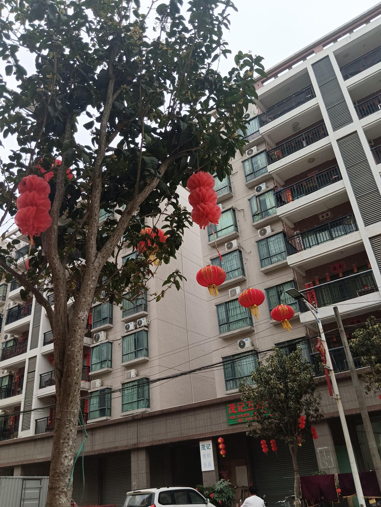 楼道里的欢笑声渐歇，街巷恢复了往日的秩序。收拾好行囊，后备箱里塞满了家人的牵挂，