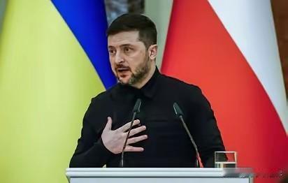 泽连斯基智商可能不高，但是情商是真的高，当十几个国家都祝贺高市早苗赢得大选时，只