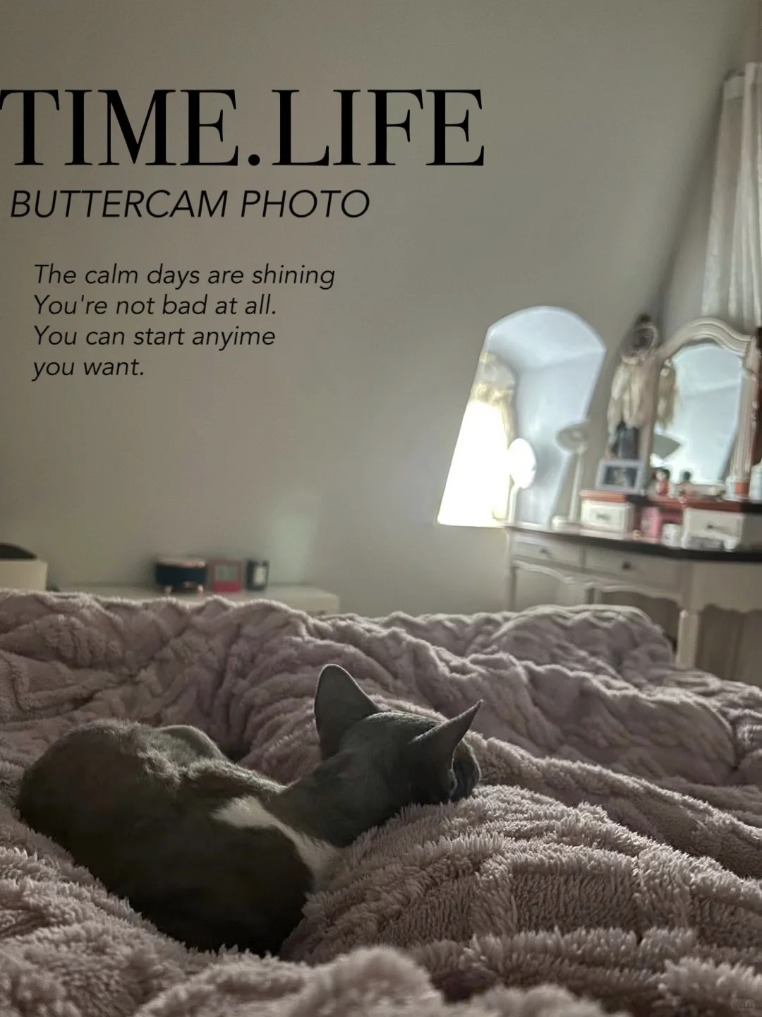 30+单身独居|年过一岁也不油腻的男主子养成