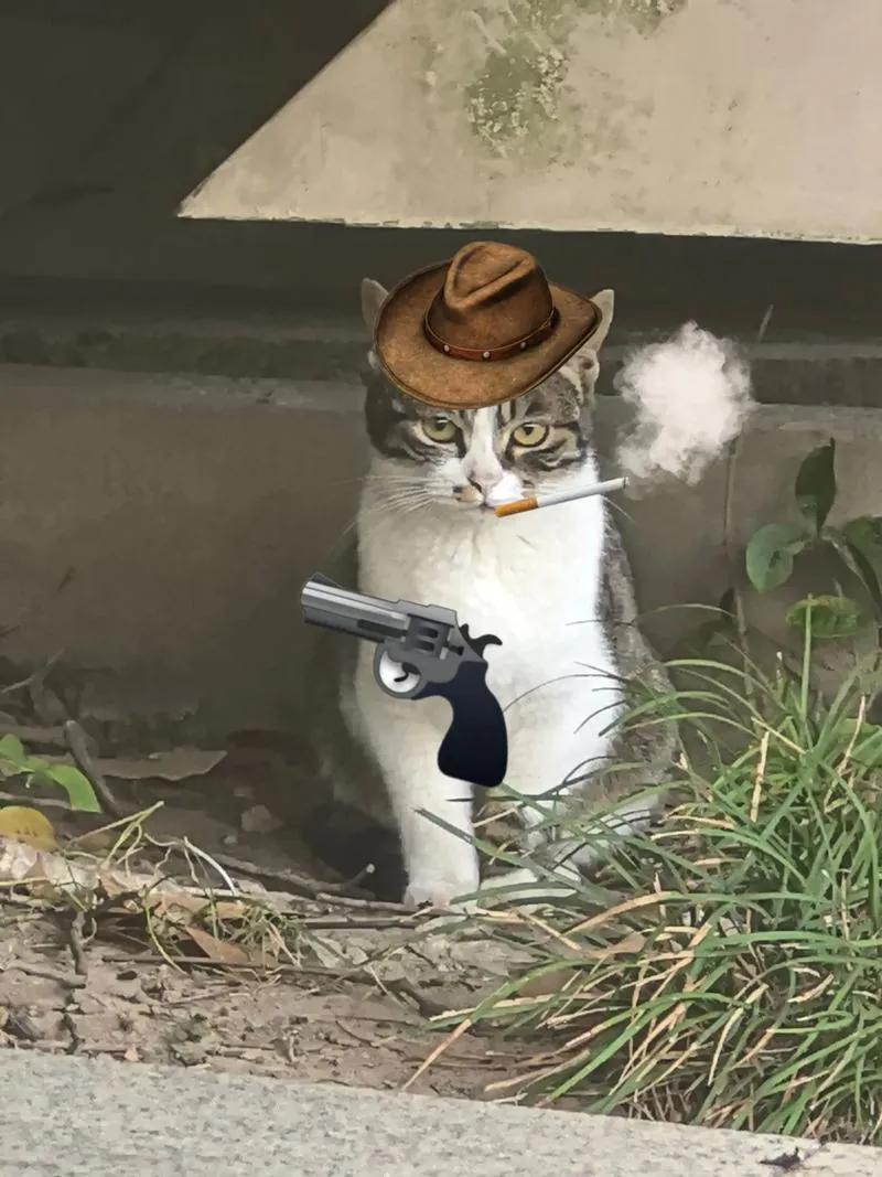 3月16日，印度德里一位28岁男子拍摄枪支使用教学视频时。面对微笑，口中喊着装弹