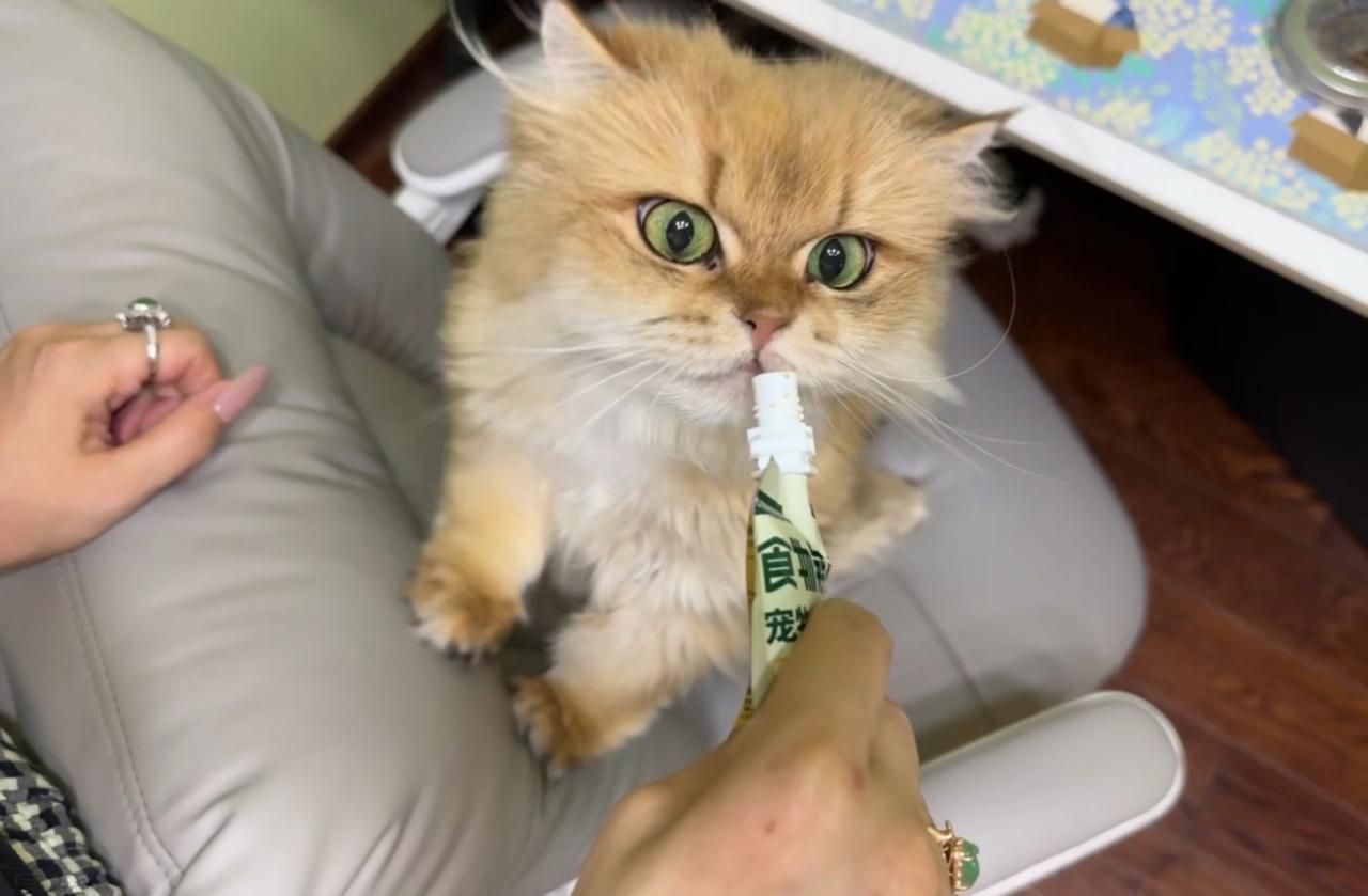 明天下午妈妈来接宝宝回家，再多炫两口老师家的饭吧！