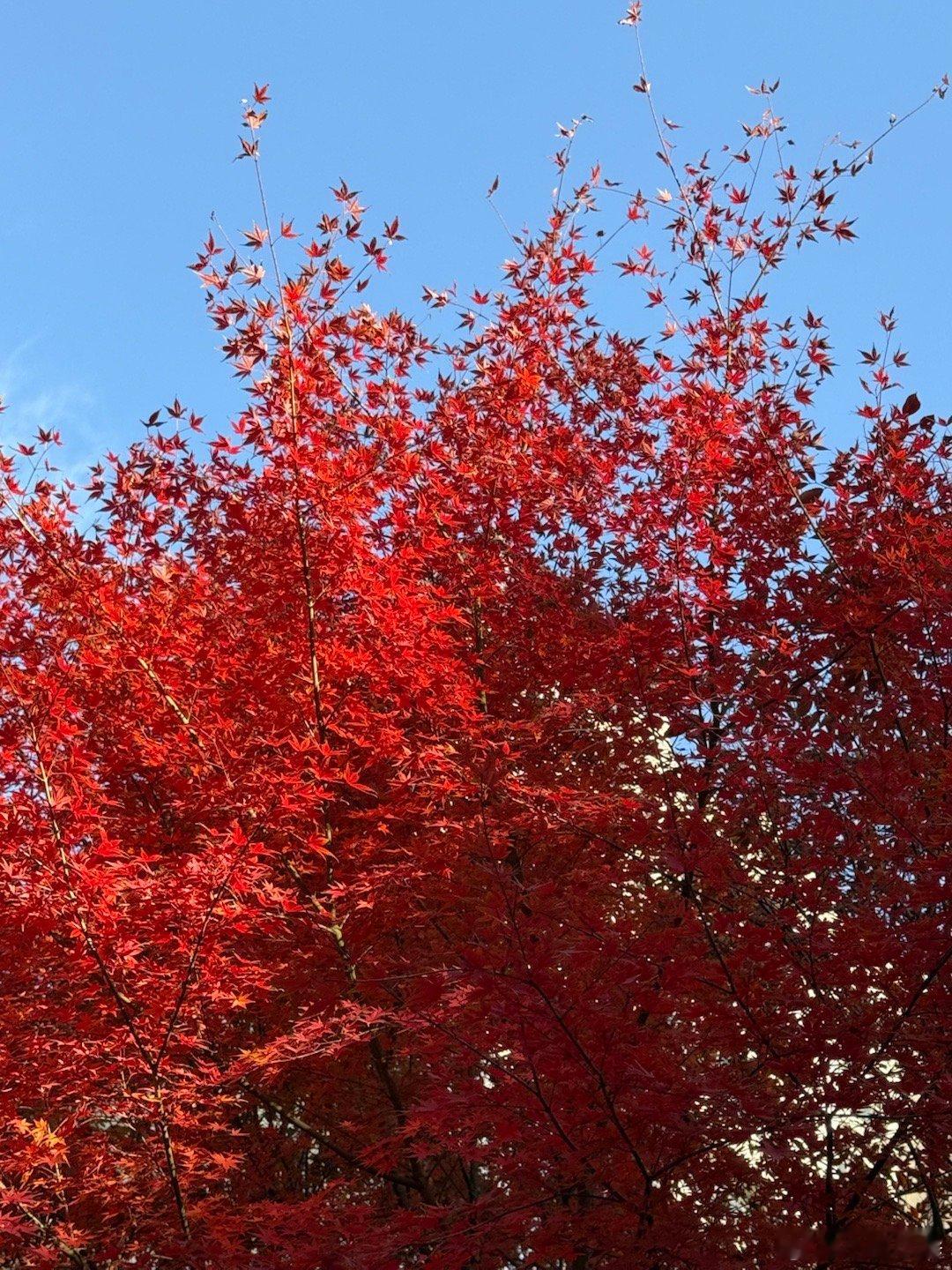 十二月是每年最难的山丘 