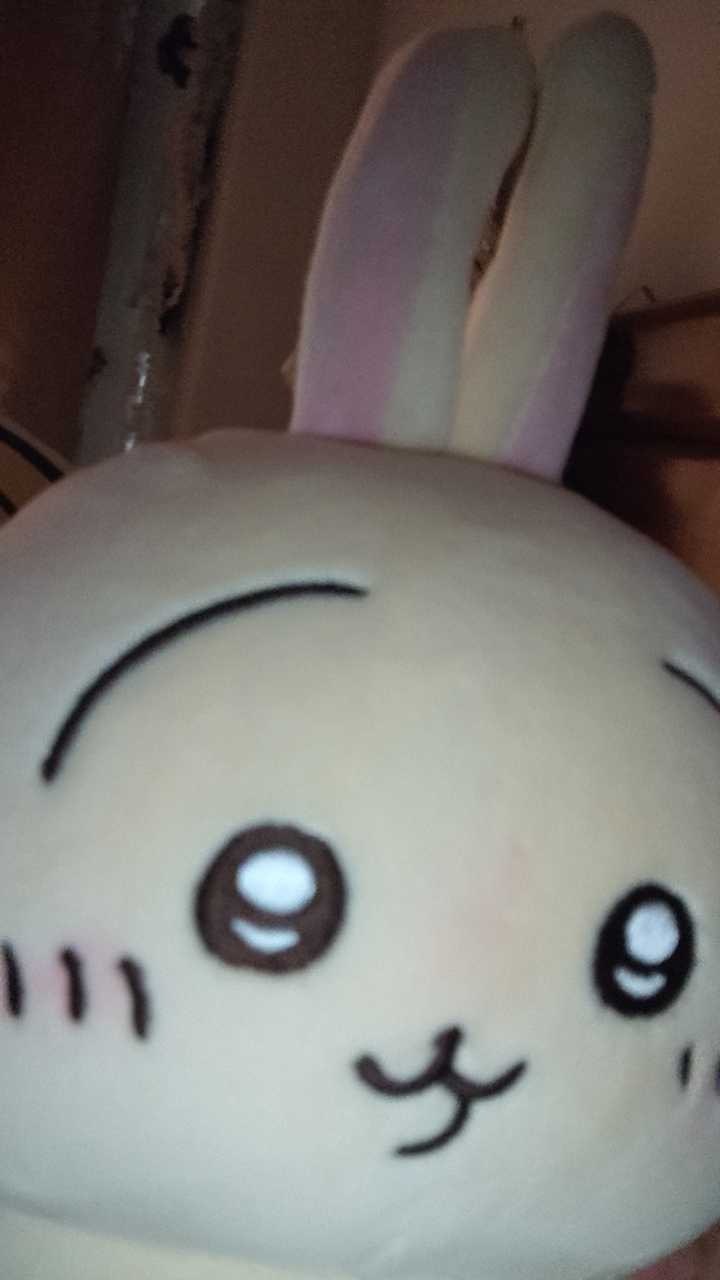 偷偷玩自拍的小兔 