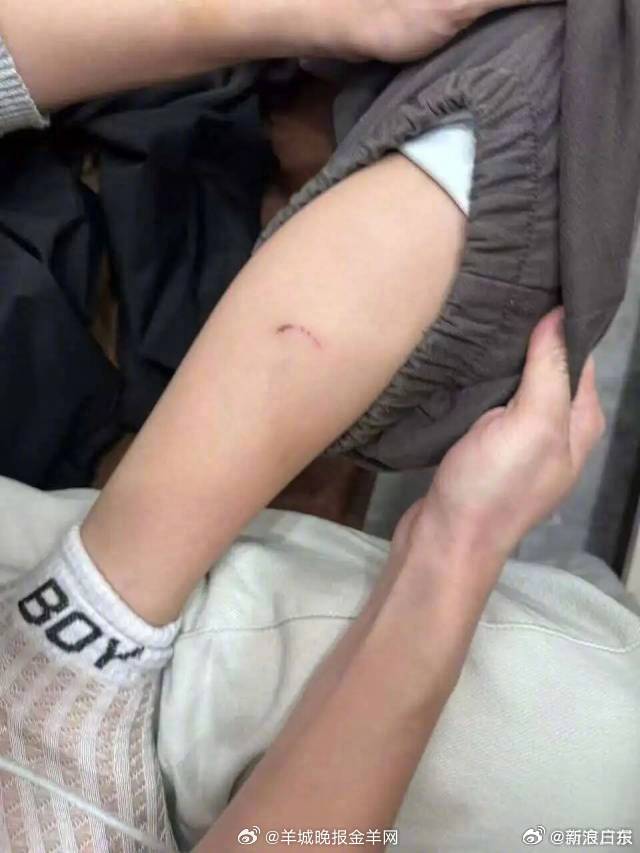 #广东身边事#【#汕头一金毛犬闯入服装店追咬男童#】近日，汕头一女子发视频称，一