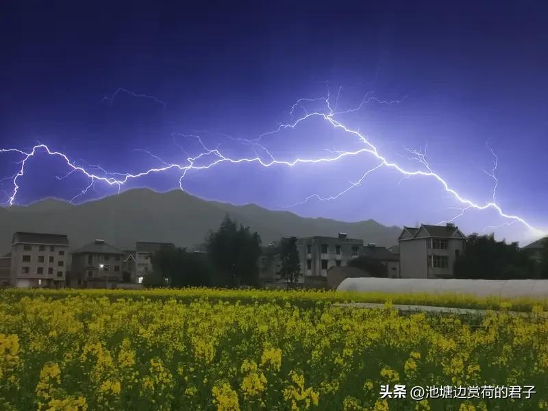 惊蛰，每年3月5日前后的节气，拉开了春耕大幕。春雷乍动，大地被唤醒，万物复苏。