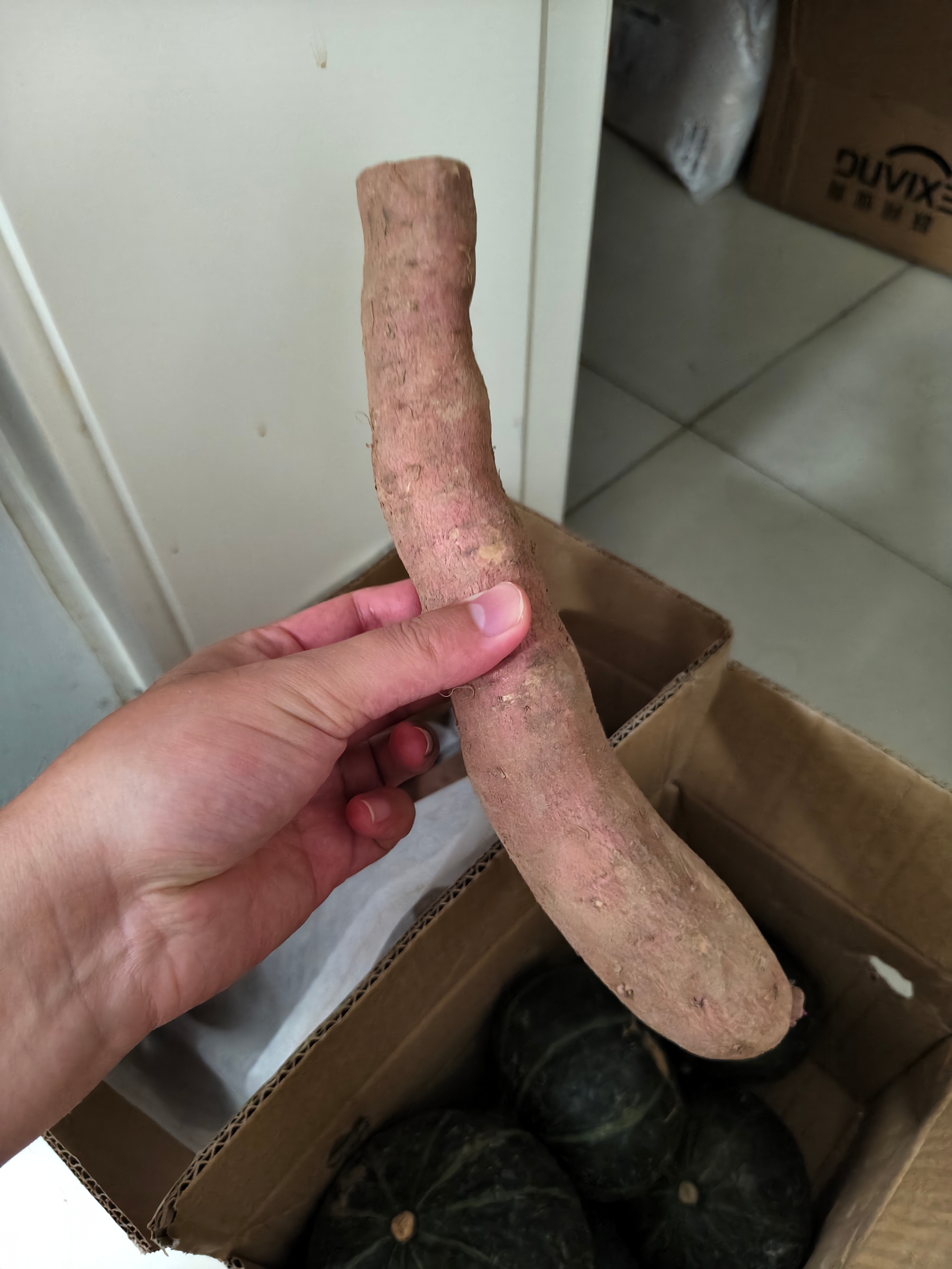 吃长红薯，需要注意什么？ ​​​