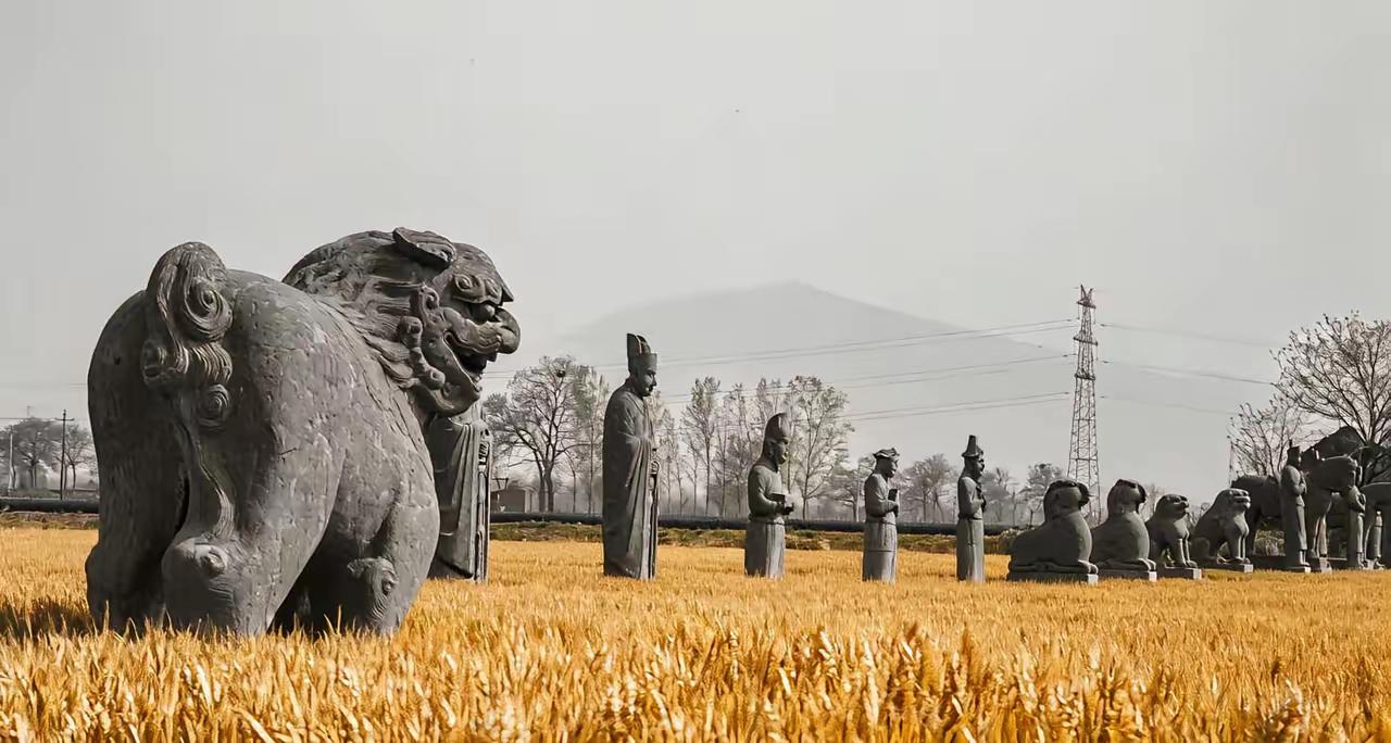 为什么不把宋陵围起来收门票？

就这么说吧，主要是河南的文明古迹多呗，整个河南就