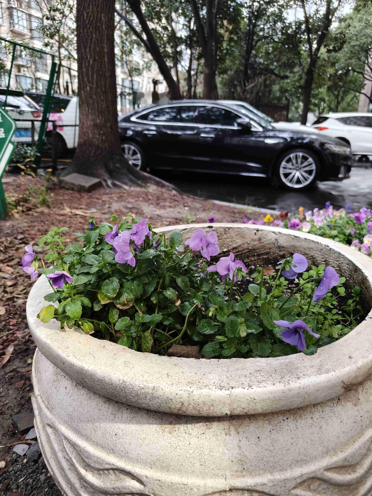 我的今日状态：💰期待暴富
我这里的天气：🌧下雨