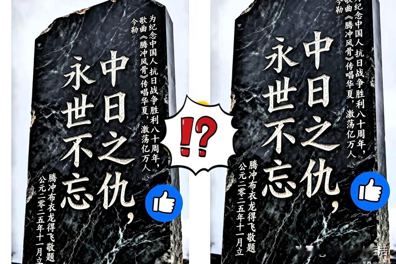 腾冲这纪念碑刚被报出来，就知道一定会被人投诉的，并且各种角度和方式都会有。
想想