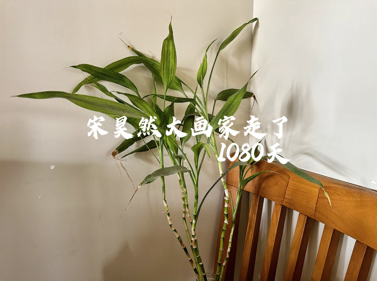 宋昊然大画家走了1080天