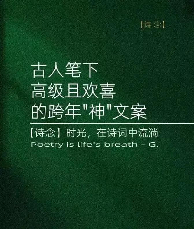 新年钟声敲响的那一刻，夜空绽放的烟花仿佛把一整年的酸甜苦辣都点亮了。忙碌奔波的日