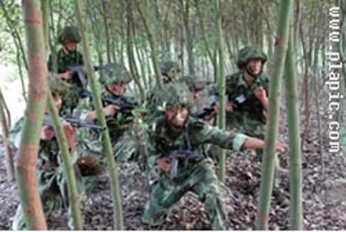 我军实战演练“斩首”行动画面超燃！在这些画面里，能看到军人的果敢与专业。他们精准