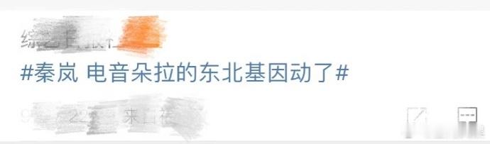 #秦岚 电音朵拉的东北基因动了# 秦岚现身东港兴边助农公益晚会，如璀璨之星照亮公