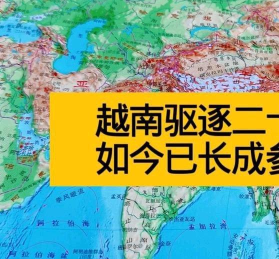 《越南驱逐二十万华侨如今已长成参天大树》越南驱逐二十万华侨如今已长成参天大树 ​