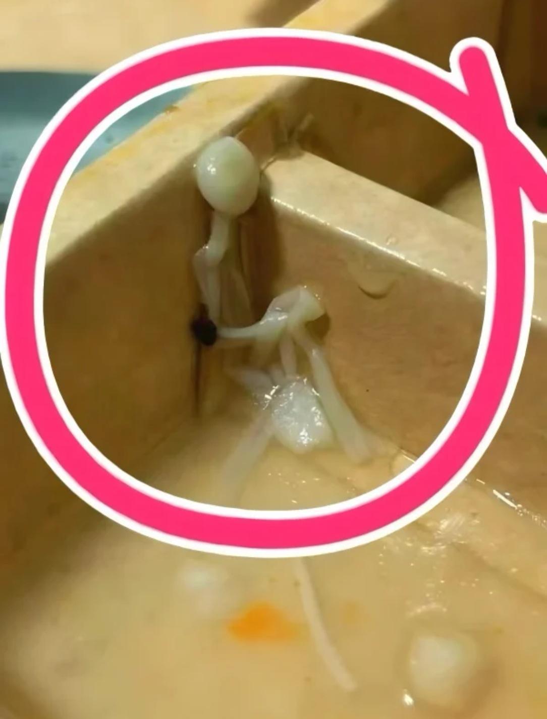 恐惧的金针菇！劫后余生的样子像极了！