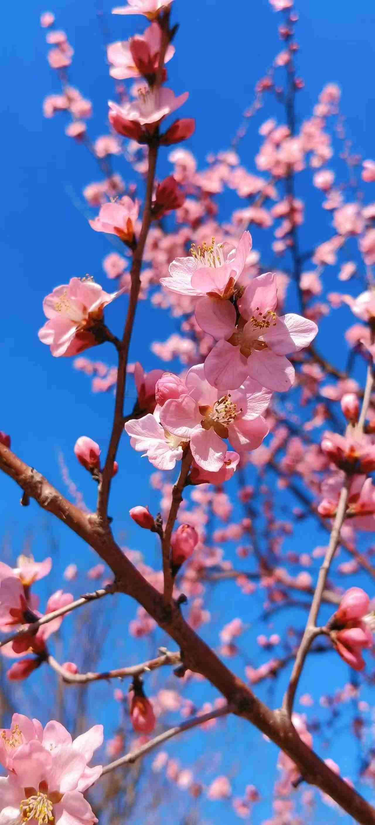 我的今日状态：😁轻松愉快
我这里的天气：☀️晴天