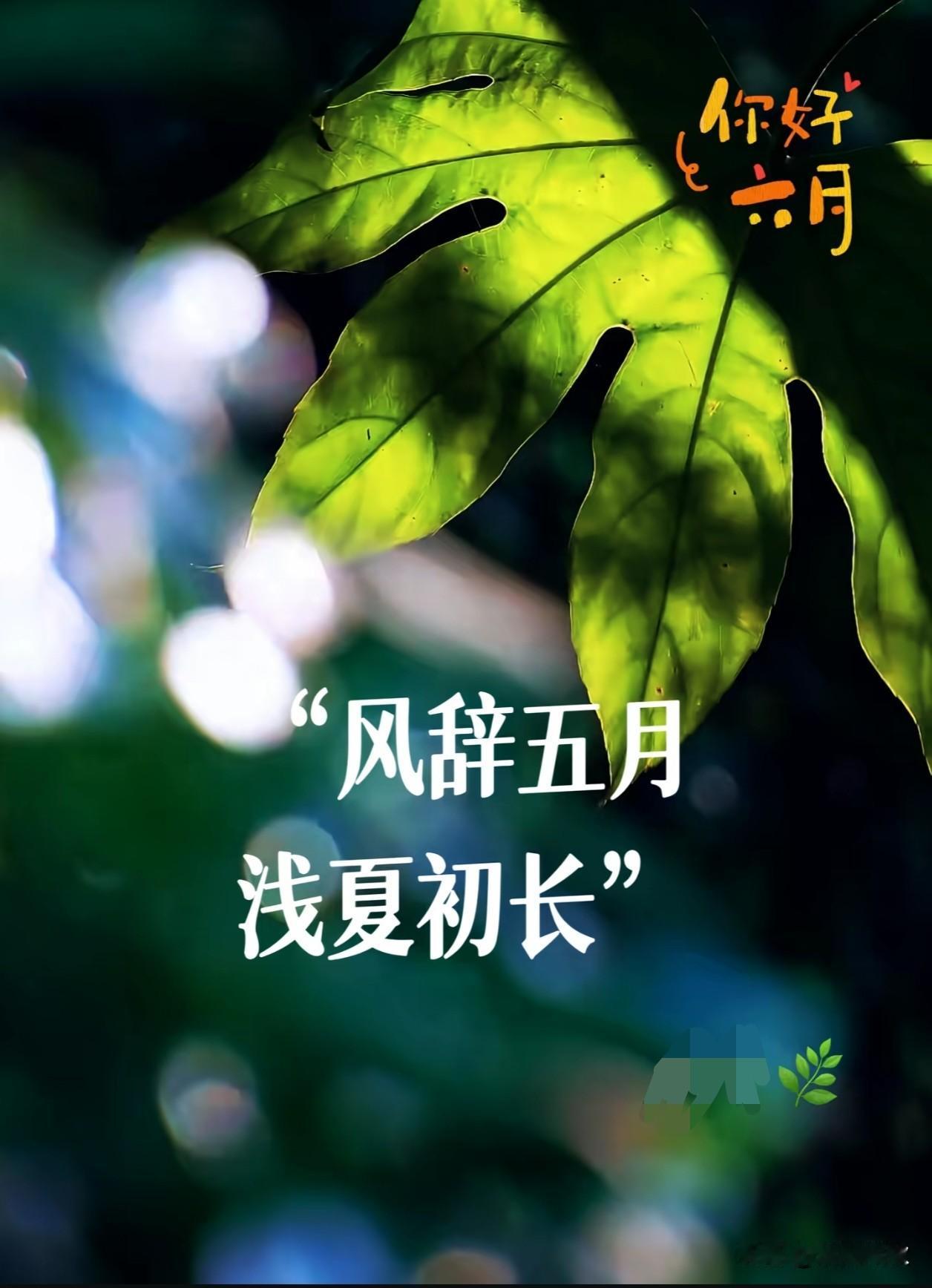 🥤🌷|🅖☻☻🅓 ’͜‘𓐃 

转眼间~
五月的暖风已经吹过，
六月的蝉