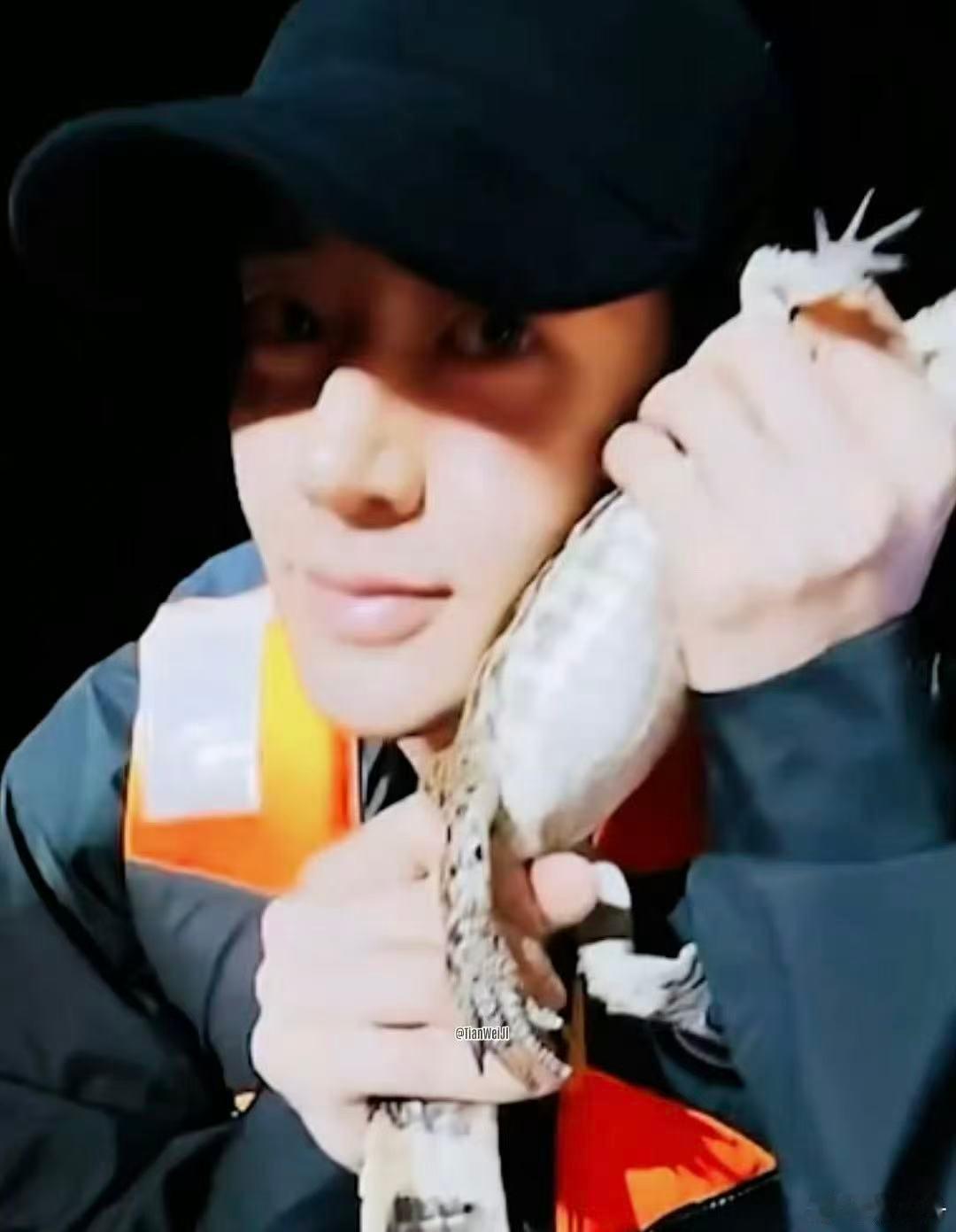 邓为泪点低低嘟胆子肥肥嘟 看邓为摸白蚁逗鳄鱼吃虫子，全程替他紧张，这胆子肥得让人