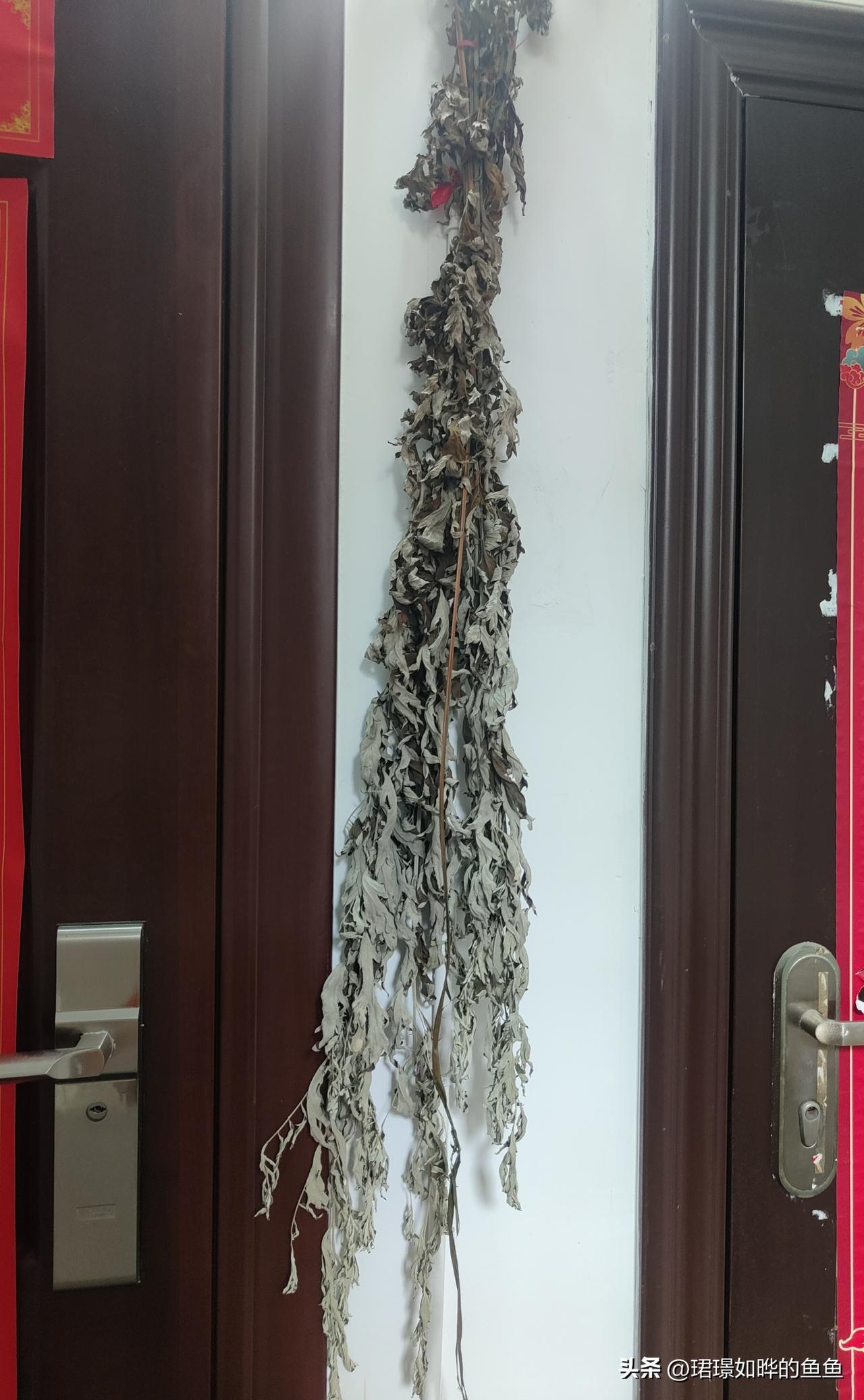 端午挂在门口的一束艾草，陪了我整整近一个月，今天终于小心翼翼取下来了。
 
其实